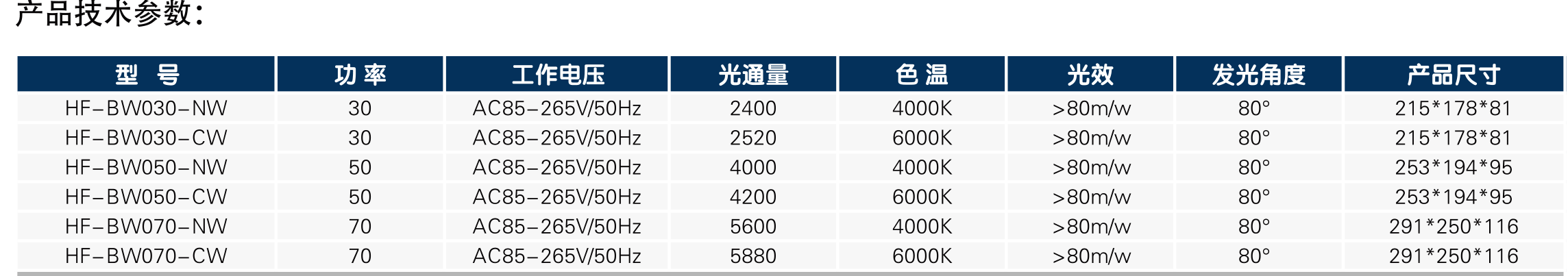 BW系列投光灯